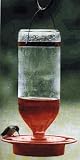Best 1 32 oz. Glass Hummingbird Feeder