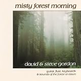 Misty Forest Morning