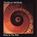 Holes in the Wall [1er Album] [Vinyl LP]