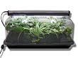 Mini Greenhouse for Germination and Propagation includes 18