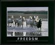 Freedom-Move to the Rhythm, Motivational Poster