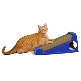 Omega Paw SBE Scratch Box Everest
