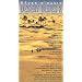 Desert Blues Vol.2