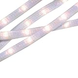 Rope Light - Clear (24')