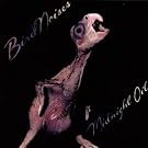 Bird Noises 1980