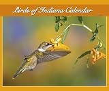 Birds of Indiana 2007