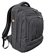 Brenthaven Pro 15-17 Backpack for MacBook Pro and Powerbook 15-17"