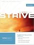 Strive: The Bible for Men (TNIV) (Today's New International Version)