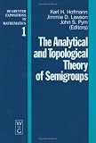 Analytical and Topological Theory of Semigroups: Trends and Developments (De Gruyter Expositions in Mathematics)