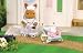 Toys : Sylvanian Families - Nurse and Wheelchair