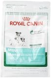 Royal Canin Mini Starter Mother and Babydog, Dry Dog Food Formula, 2-Pound Bag