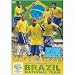 DVD ブラジル代表 戦いの軌跡