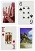Copag Bridge Size Jumbo Index Playing Cards (Sao Paulo Setup)
