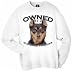 Miniature Pinscher Owned By Adult Sweatshirt