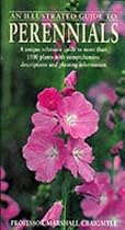 An Illustrated Guide to Perennials