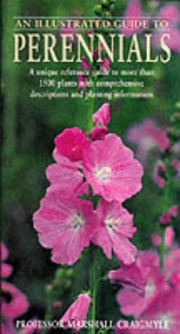 An Illustrated Guide to Perennials