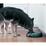  : PetSafe 3 Meal Pet Feeder