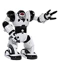 WowWee Mini Robosapien