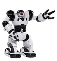 Mini Robosapien