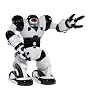 WowWee Mini Robosapien