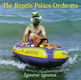 Iguana Iguana