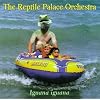 Iguana Iguana
