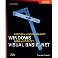 Programming Microsoft Windows Reference Pro Developer