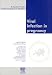 Viral Infection In Pregnancy: European Practice in Gynaecology and Obstetrics Series, 1e