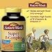 Nature Made Super Vitamin B-complex with Vitamin C - 360 Tablets