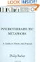 Psychotherapeutic Metaphors: A Guide To Theory And Practice (Basic Principles Into Practice Series)
