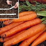 Carrot Seeds - Carrot Seed Tape Collection