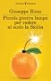 Piccola guerra lampo per radere al suolo la Sicilia (I narratori)