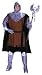 Medieval Knight Adult Costume