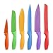 Kitchen Knife Set plus BONUS Cutting Board and FREE Knife Skills eBook. Includes Chef Knife, Paring Knife, Carving, Utility, Santoku and Bread knives.