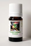 Surthrival Foragers Cologne