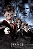 Picture Of LN0004 Harry Potter 3D Lenticular poster