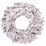 Vickerman 02591 - 24 Flocked Alaskan Wreath 35CL 96T A806325 24 Inch Christmas Wreath