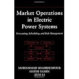 market operations in electric power systems forecasting scheduling and risk management