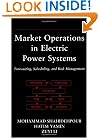 Market Operations in Electric Power Systems: Forecasting, Scheduling, and Risk Management