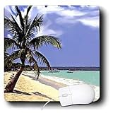 Tropical Island - Tropical Paradise - Mouse Pads