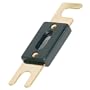 Raptor RANL1502 150 Amp ANL Fuses, 24K Gold Plated, 2 Pack