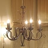 �V�����f���A�@5���C�g