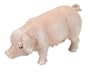 RepPals: Pig