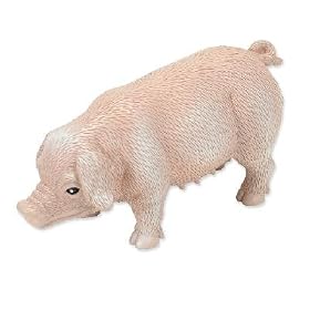 RepPals: Pig