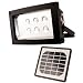Maxsa 6 LED Solar Powered Floodlight, Model# 40330