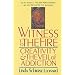 Witness to the Fire: Creativity and the Veil of Addiction