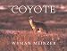 Coyote