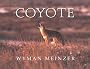 Coyote