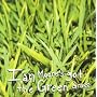 Ian Moore's Got the Green Grass