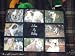 bulldog38 - I Love My Bulldog Bulldogs Personalized Dog Photo